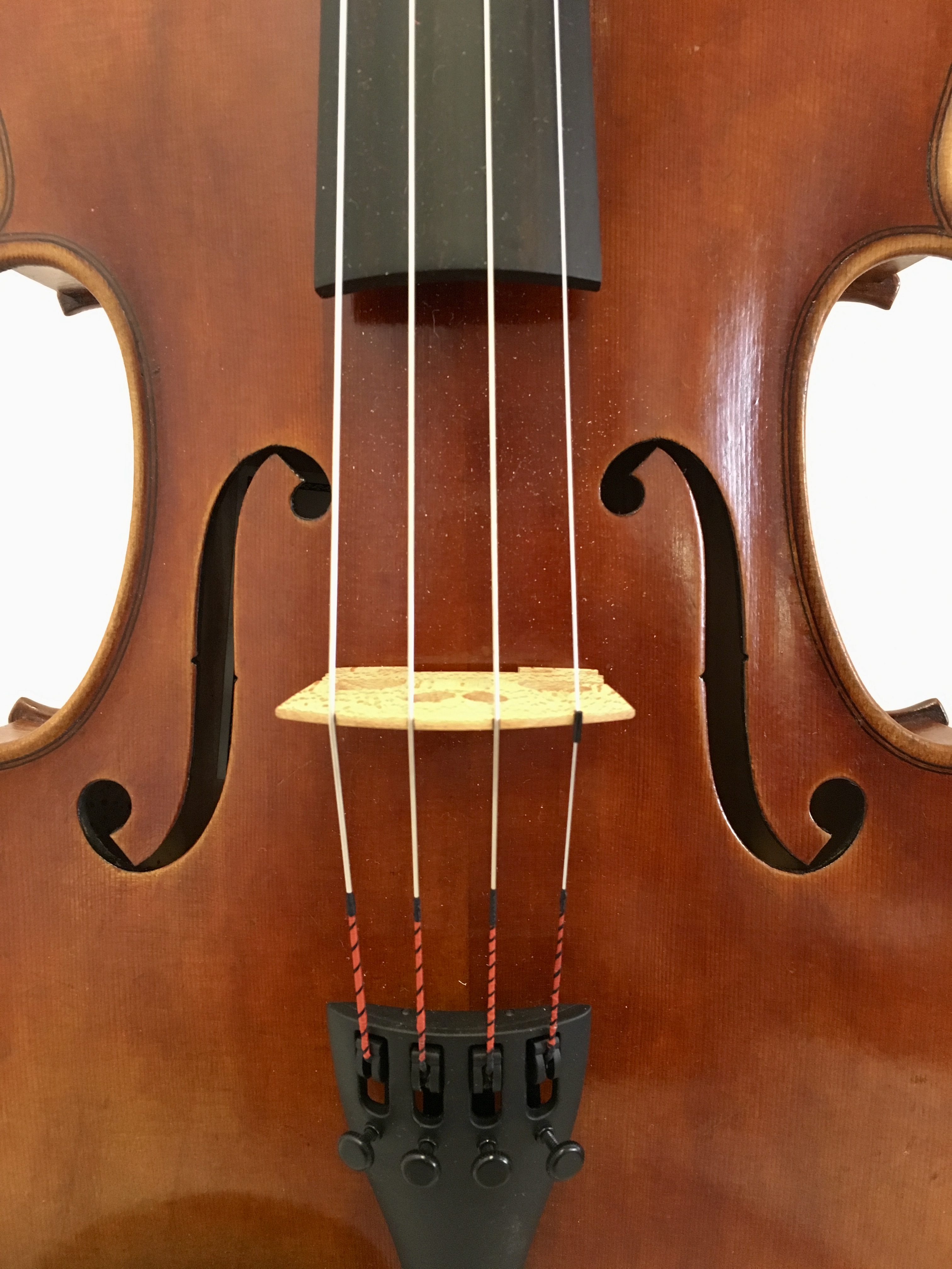 40,3 cm viola, Jay Haide - 4