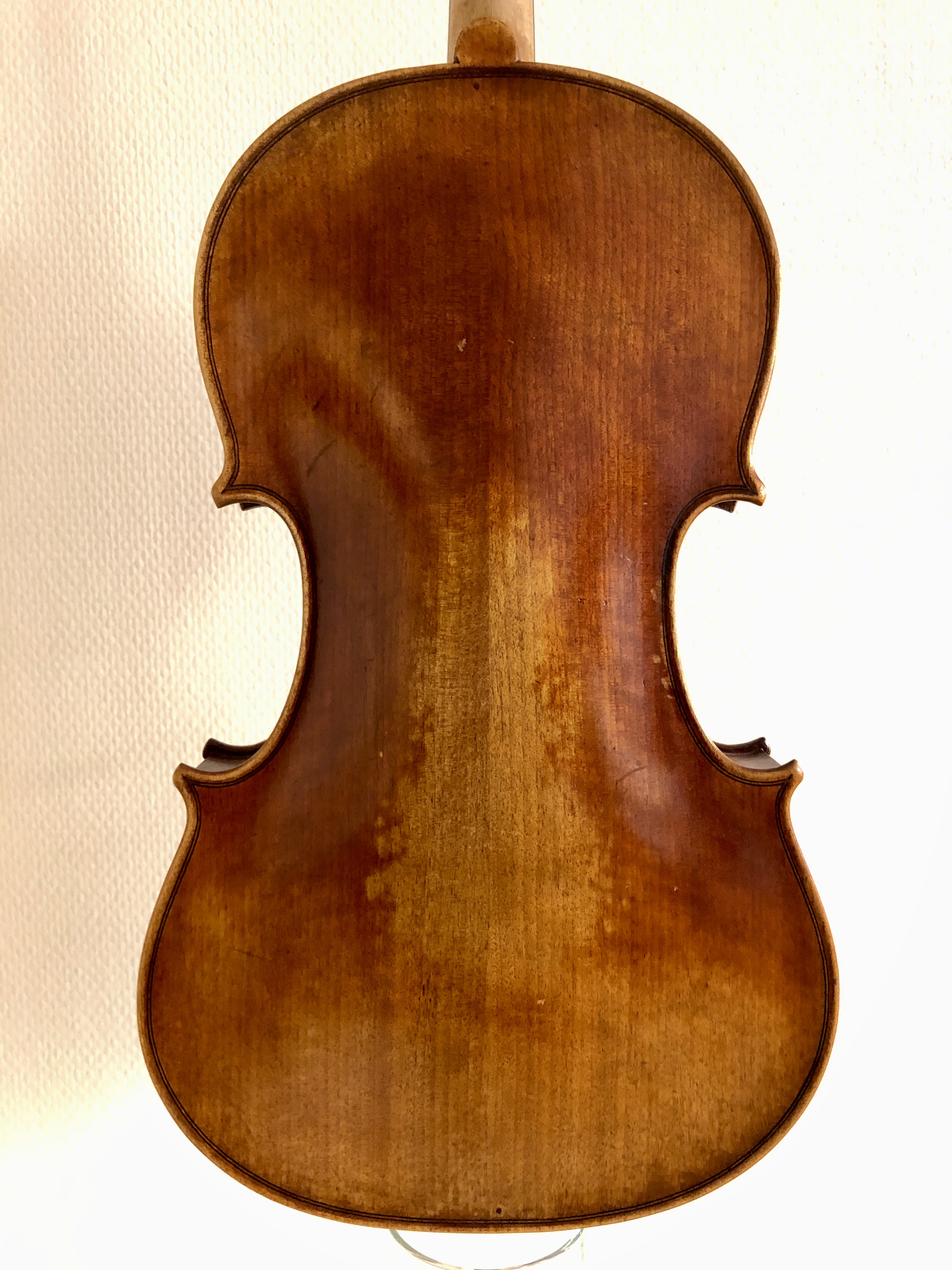 40,3 cm viola, Jay Haide - 2