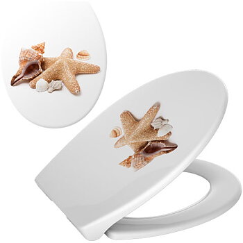 Shell Lux