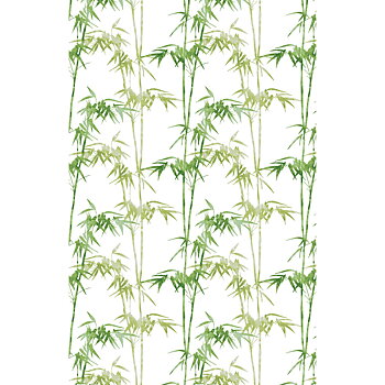Duschy Shower curtain Bamboo