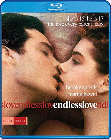 Endless Love (BLU-RAY)