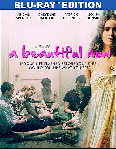 Beautiful Now (BLU-RAY)