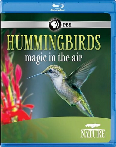 Hummingbirds - Magic In The Air (BLU-RAY)