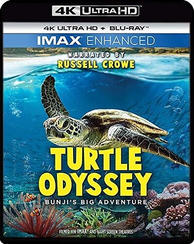 Turtle Odyssey (BLU-RAY 4K ULTRA HD + BLU-RAY)