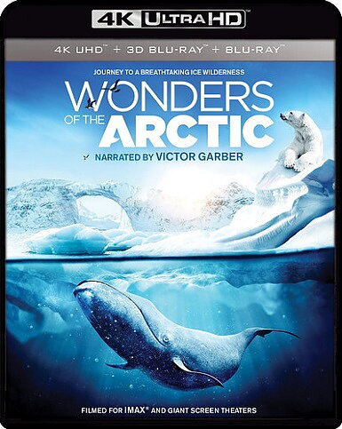 Wonders Of The Arctic (BLU-RAY 4K ULTRA HD + BLU-RAY)