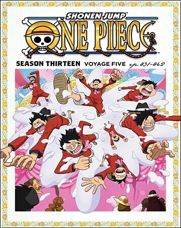 One Piece - Season Thirteen - Voyage Five (BLU-RAY + DVD)
