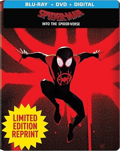 Spider-Man: Into The Spider-Verse - Steelbook Edition (BLU-RAY + DVD)