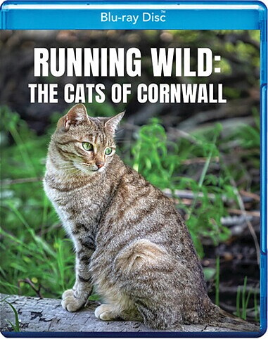 Running Wild: The Cats Of Cornwall (BLU-RAY)