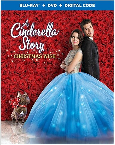 Cinderella Story: Christmas Wish (BLU-RAY + DVD)