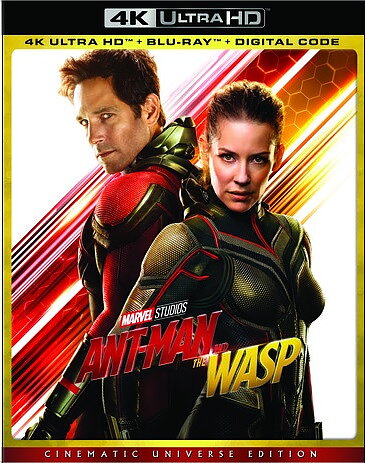 Ant-Man And The Wasp (BLU-RAY 4K ULTRA HD + BLU-RAY)