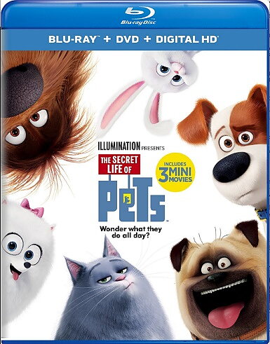 Secret Life Of Pets (BLU-RAY + DVD)