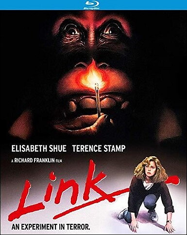 Link (BLU-RAY)