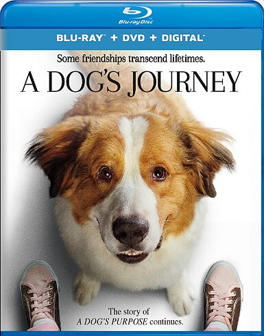Dog's Journey (BLU-RAY + DVD)