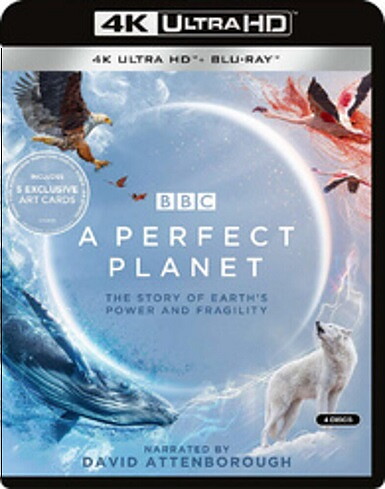 Perfect Planet (BLU-RAY 4K ULTRA HD + BLU-RAY)