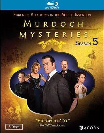Murdoch Mysteries - Season 5 (BLU-RAY)