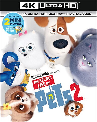 Secret Life Of Pets 2 (BLU-RAY 4K ULTRA HD + BLU-RAY)