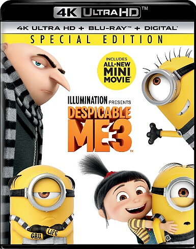 Despicable Me 3 (BLU-RAY 4K ULTRA HD + BLU-RAY)