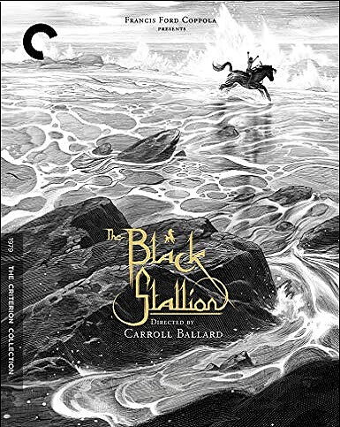 Black Stallion - Criterion Collection (BLU-RAY)