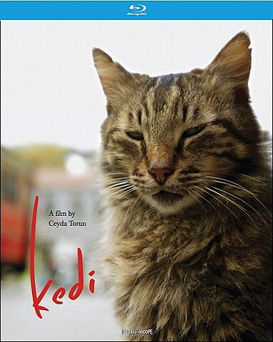 Kedi (BLU-RAY)