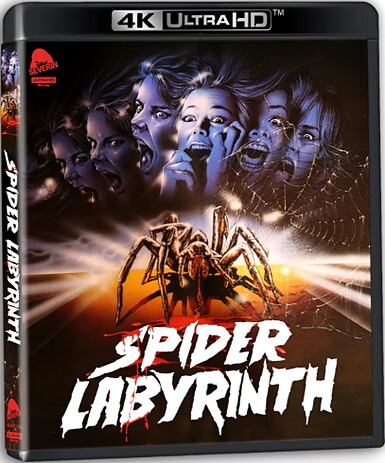 Spider Labyrinth (BLU-RAY 4K ULTRA HD + BLU-RAY)