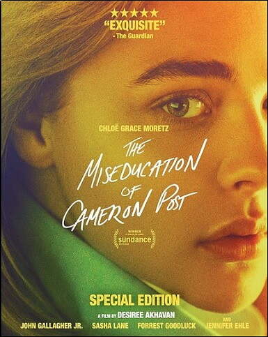Miseducation Of Cameron Post (BLU-RAY)