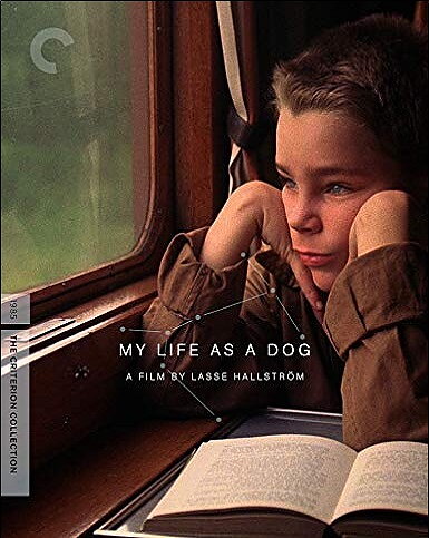 My Life As A Dog - Criterion Collection (BLU-RAY)