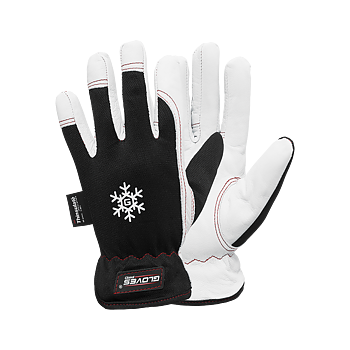  DEX 10 Glovespro Priset gäller vid köp av minst 60par