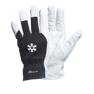 Dex 12 Glovespro Priset gäller vid köp av minst 12par