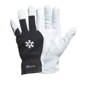 Dex 12 Glovespro Priset gäller vid köp av minst 60par