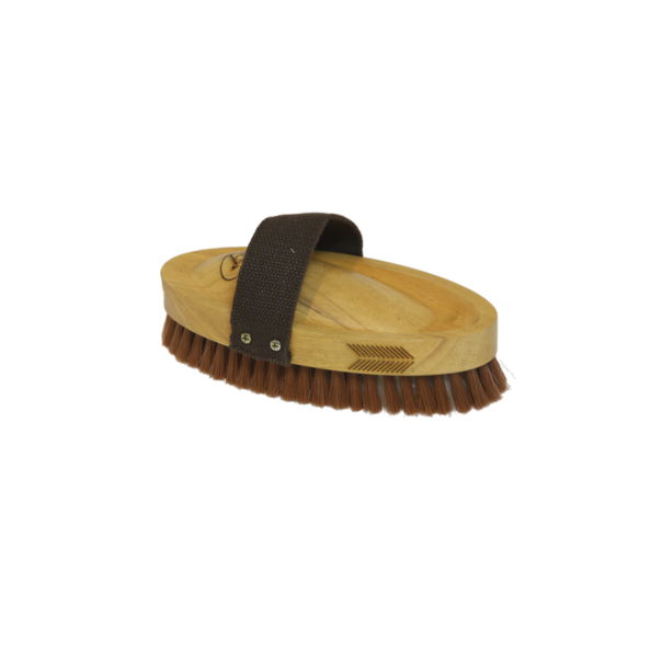 Kentucky ryktborste mjuk