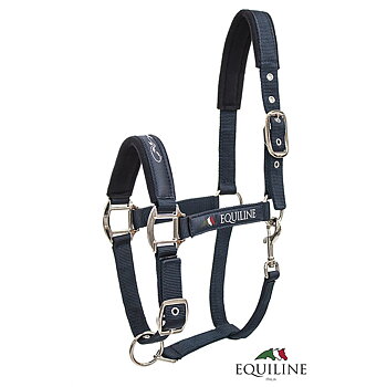Equiline grimma Timmy marin