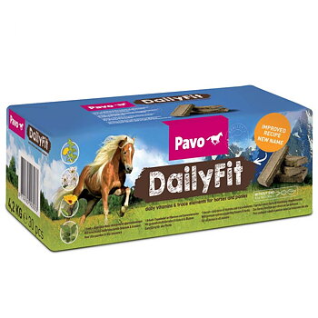 Pavo Daily Fit 