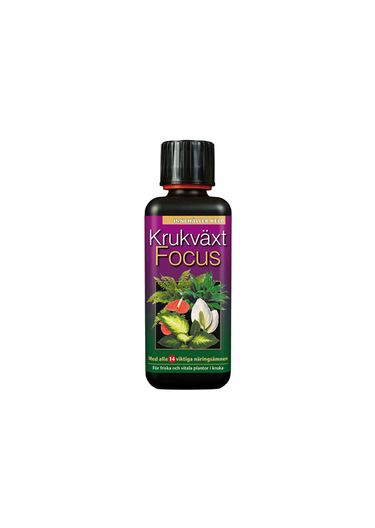 Krukväxt Focus 300 ml