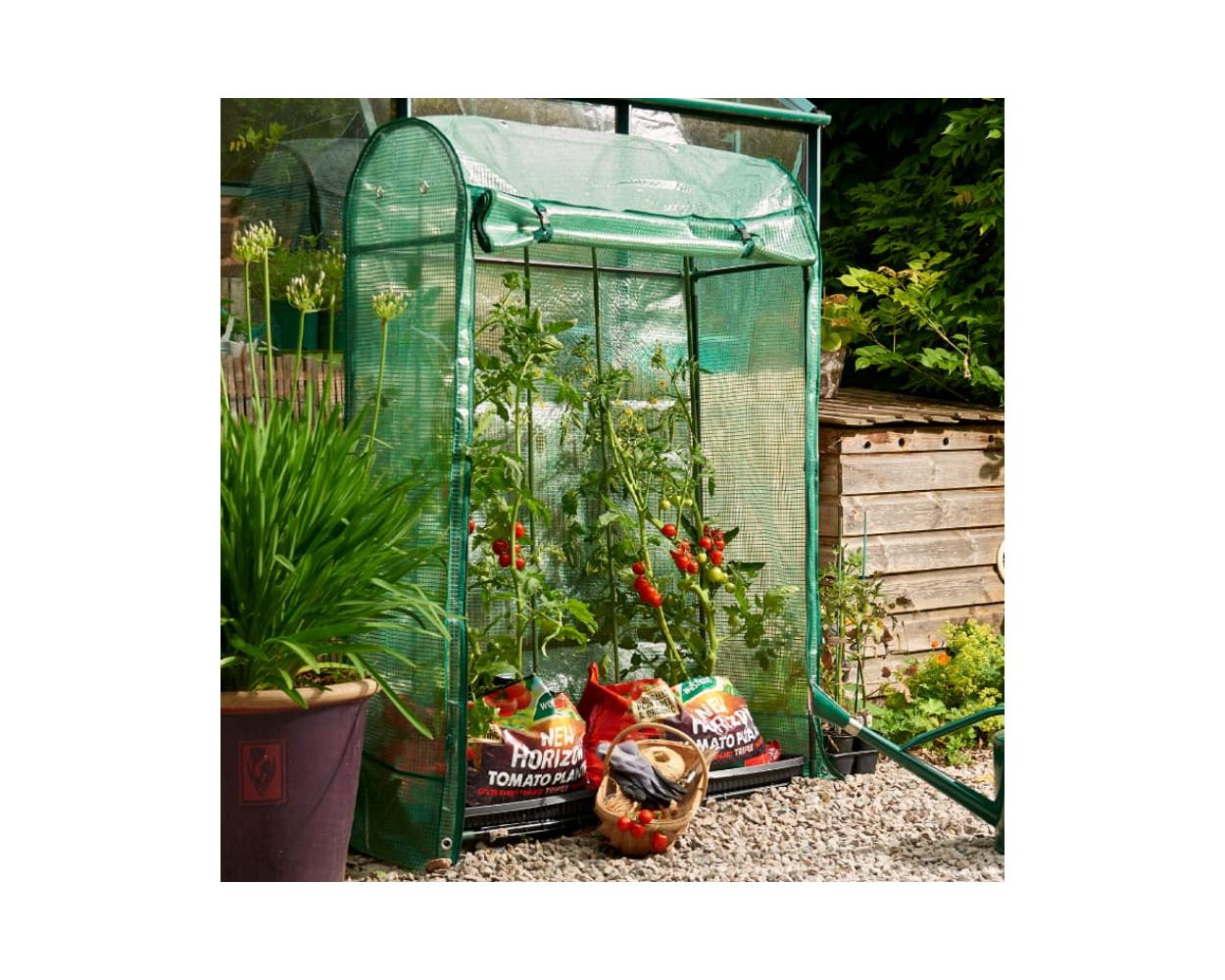 Premium Tomato Growhouse