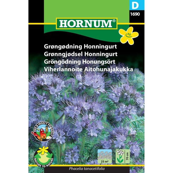 Honungsört / Honungsfacelia