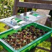 Kokosbriketter med Mykoterra 50-pack ø36mm - 3