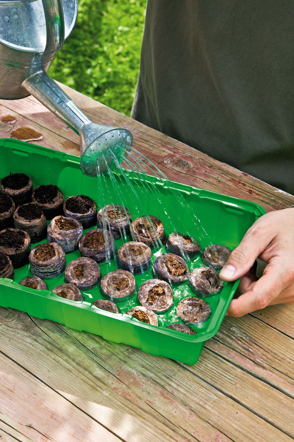 Kokosbriketter 20-pack ø36mm - 4