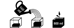 UGRO Cube Rhiza - 3