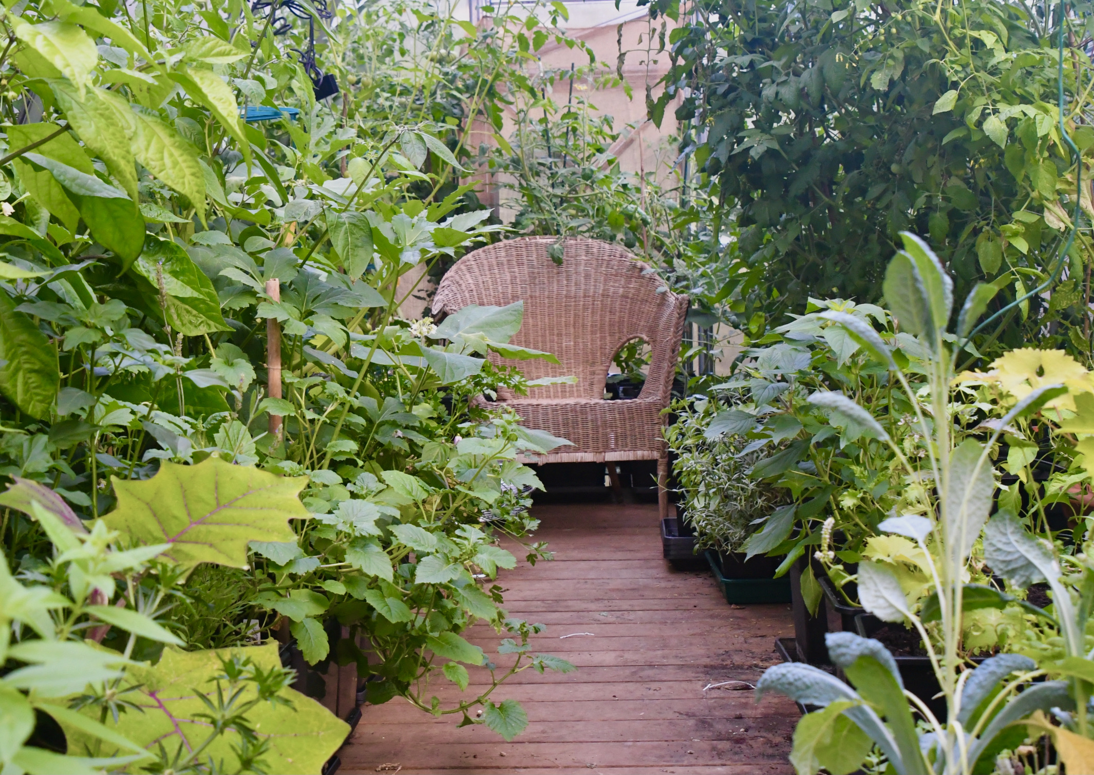 Webshop för våra privatkunder Välkommen! 