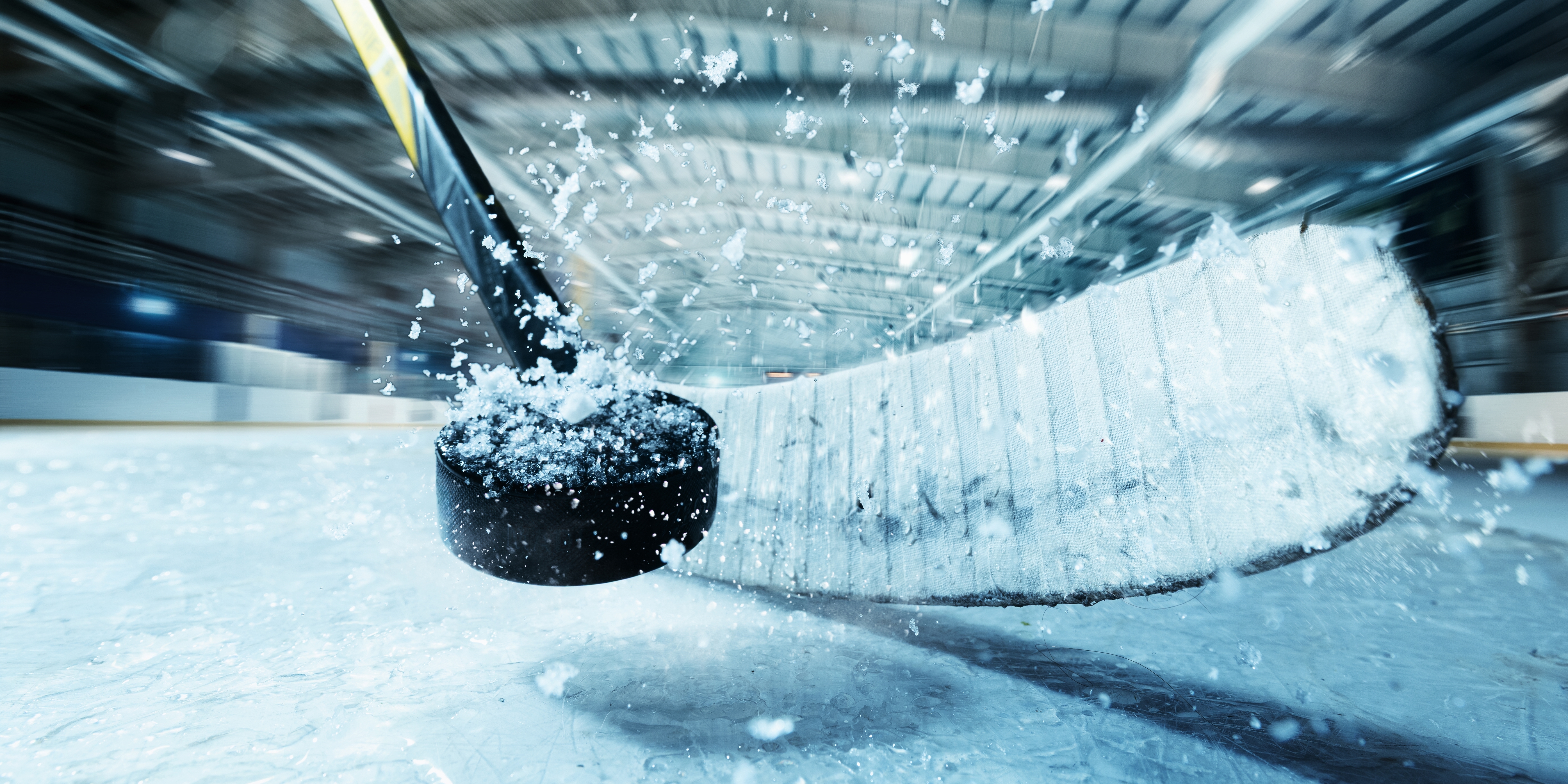 THE HOCKEY HUB presents High Quality Hockey Products with excellent  knowledge, great service and state of the art logistics