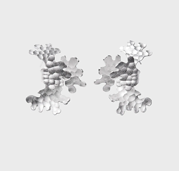 Tundra Earring Silver