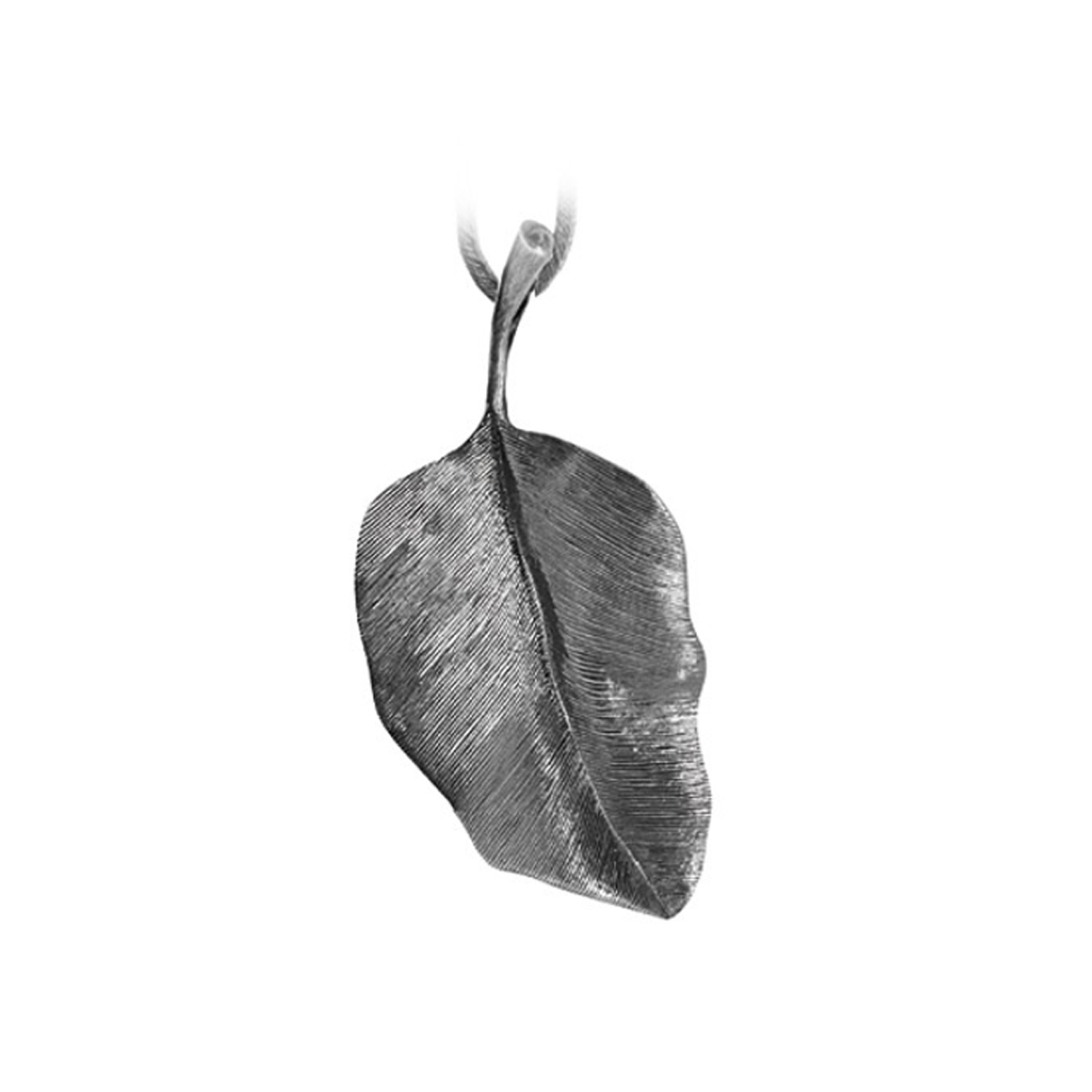 Leaves riipus hapettuneet