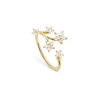 Shooting Stars Ring