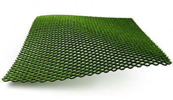 Hybridrasen Grimsholm Green