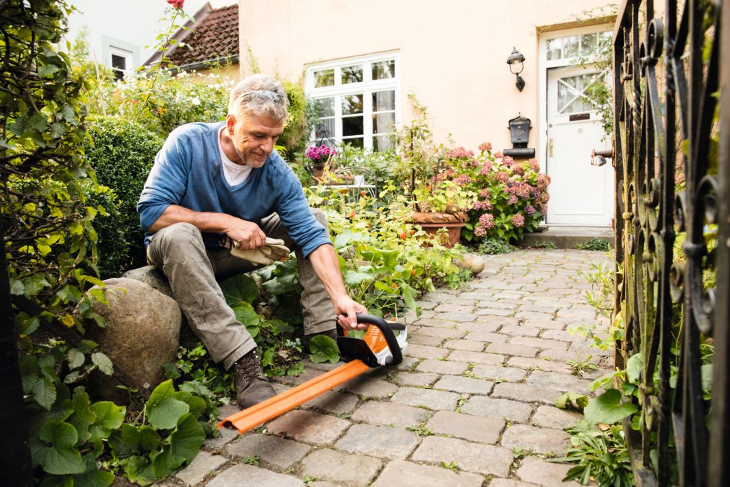 Stihl Batterihäcksax HSA 45, knivlängd 50 cm - 5