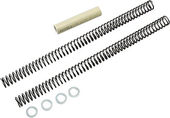 Race Tech Fork Springs