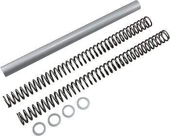 Race Tech Fork Springs