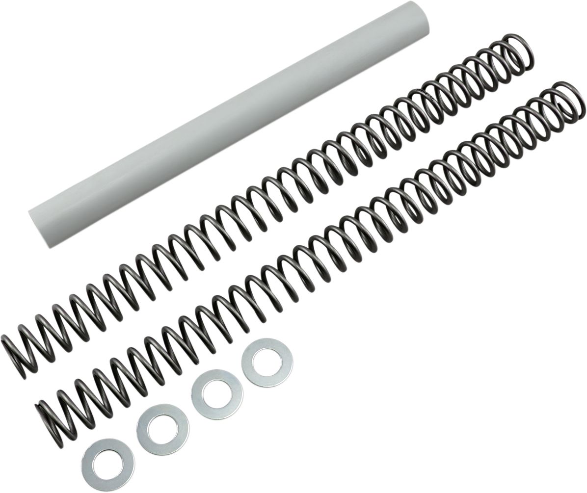 Race Tech Fork Springs
