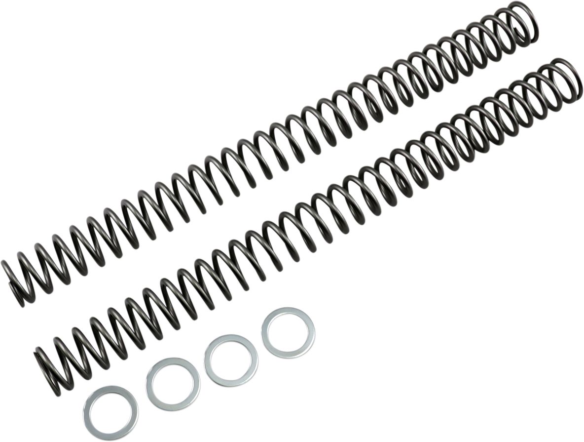 Race Tech Fork Springs