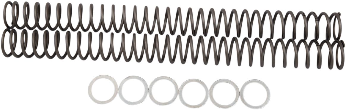 Race Tech Fork Springs